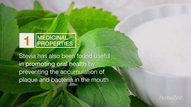 Stevia benefits and properties - Herbazest смотреть онлайн