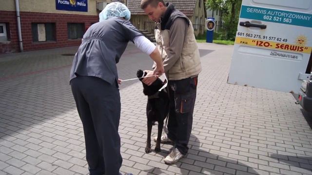 MOPSiK w akcji Warnice 11.05.2014 смотреть онлайн