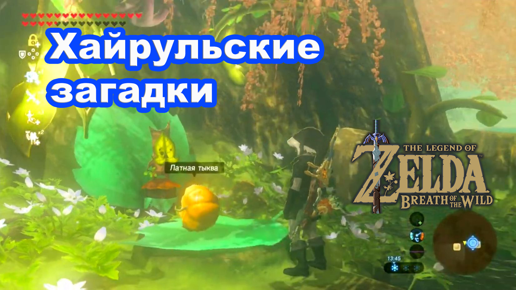 Хайрульские загадки. The Legend Of Zelda Breath Of The Wild. Nintendo Switch