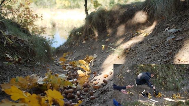 Топ 10 приемов съемки со стабилизатором | Как снимать видео со стабом? смотреть онлайн