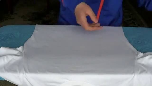 Как распечатать фото на футболке в домашних условиях   How to print a photo on the T shirt111