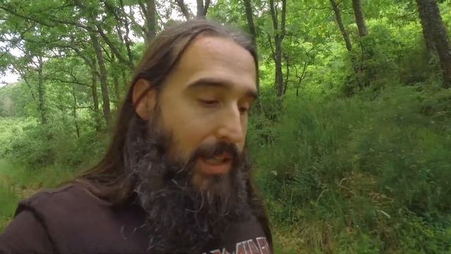 ?Plantas De Uso TRADICIONAL 10: El Saúco (Sambucus Nigra)