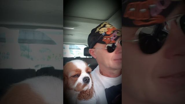 Анекдот. Никуда не едем... смотреть онлайн