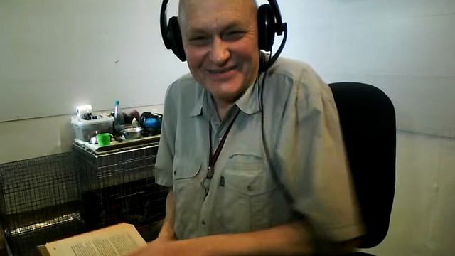 Стрим 17. Как приучить щенка к чистоте. Советы специалистов