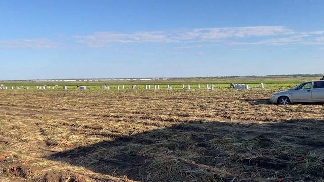 Летний сезон овощей, грузоперевозки с полей продажа на рынке! Мерседес 814,914,1114,1117. смотреть онлайн