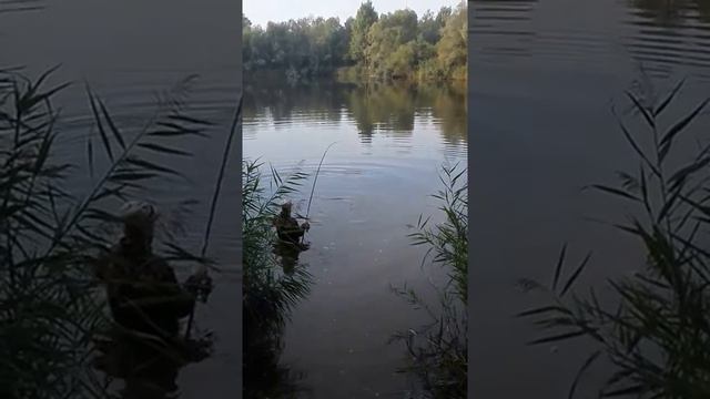 Ловля амура смотреть онлайн