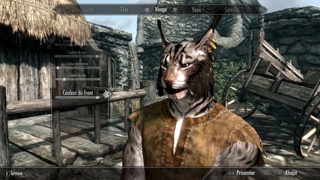 LP Skyrim Moddé #1 смотреть онлайн