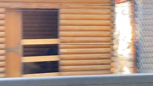 Лайф влог: Ленинградский зоопарк в СПБ/ Очень много разных животных смотреть онлайн