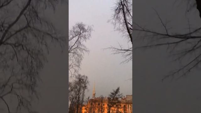 24 ноября Питер Прогклка Снег Осень Хорошее настроение #поход #зима #травел смотреть онлайн