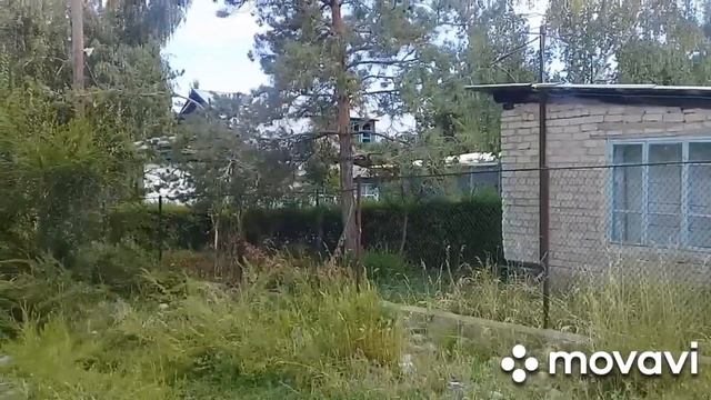 Кыргызстан Озеро Иссык-куль село Пристань, РЫБПРОМ 2020,Экскурсия по Родине. смотреть онлайн