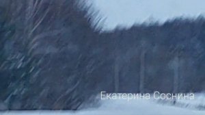Человек с ружьем ходит по дороге общего пользования в Нижегородской области.