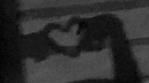 ДЕВОЧКА ТАНЦУЙ (speed up)