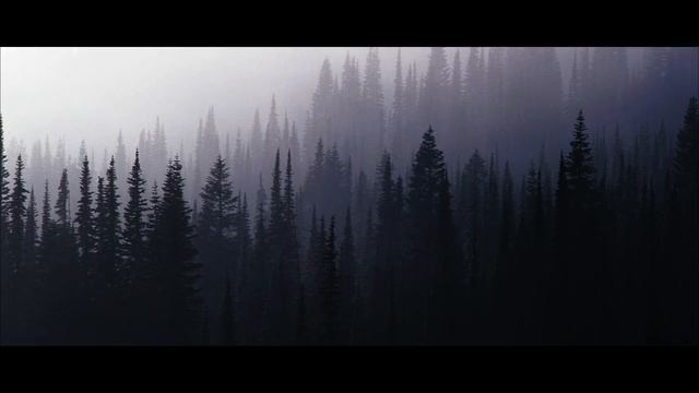 I'm a Search and Rescue Officer for the US Forest Service, I Have Some Stories to Tell | Creepypast смотреть онлайн
