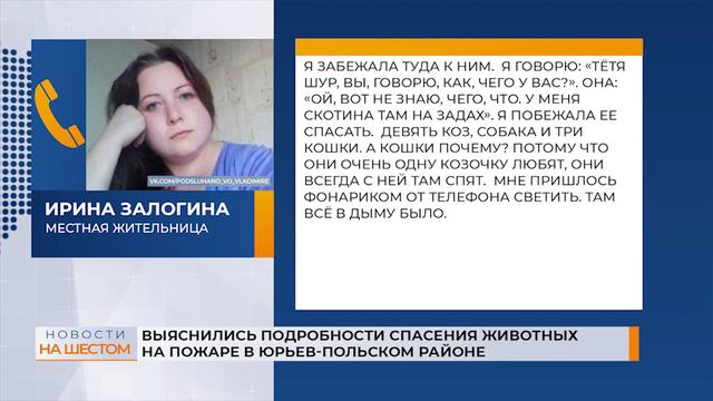 Выяснились подробности спасения животных на пожаре в Юрьев-Польском районе смотреть онлайн