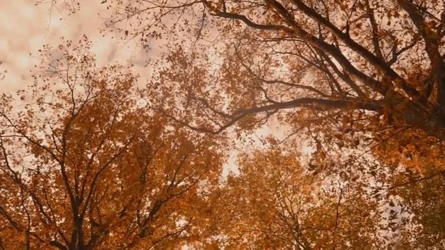 Вместе будет лучше. Битлз по-русски смотреть онлайн