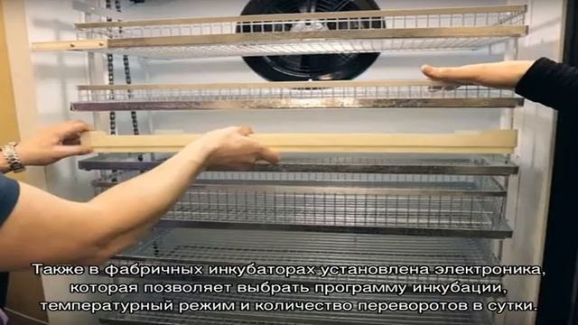 Устройство и принцип работы инкубатора для яиц смотреть онлайн