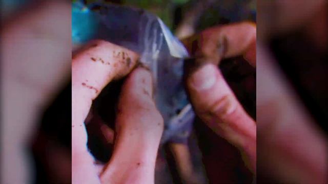 TRIP SELLER — Круглые глаза смотреть онлайн