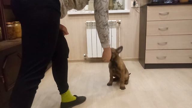 Эрдоган смотреть онлайн