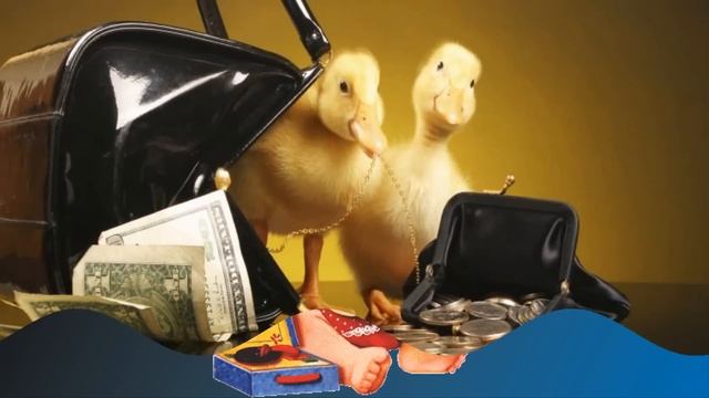 Танец маленьких утят. (Как сделать слайд-шоу) смотреть онлайн