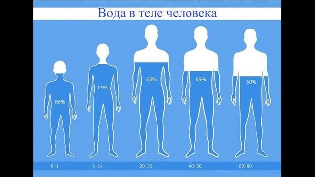 мифы о здоровье верить в которые глупо. смотреть онлайн