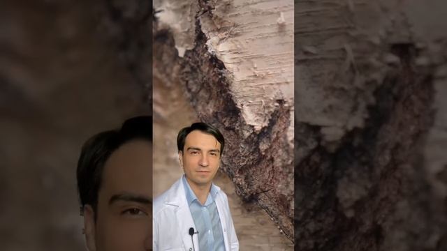 Грибные тропы