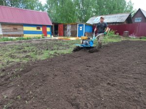 «ГУСИНЫЕ ЛАПКИ» В РАБОТЕ.МОТОБЛОК НЕВА МБ-2.ПЕРЕД ПОСАДКОЙ ПОД МОТОБЛОК.