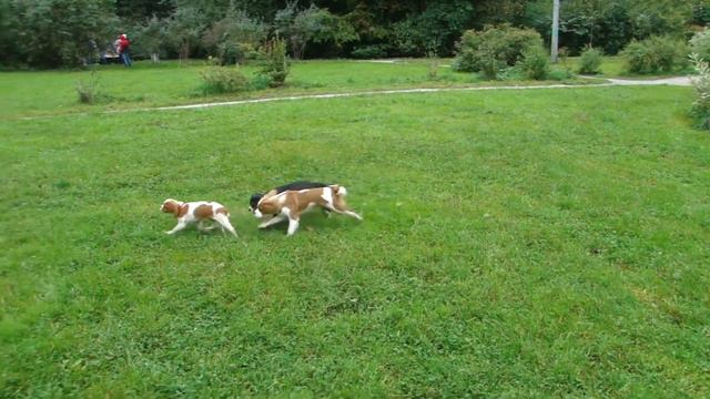 Кавалер встреча в Москве