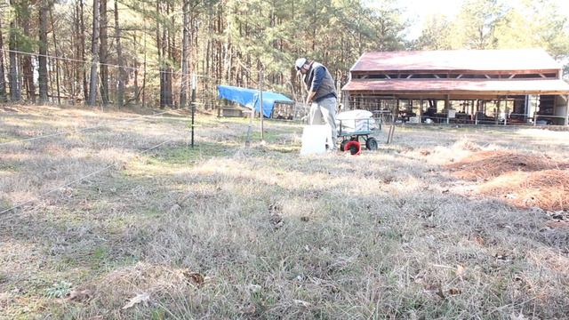 How to Plant Thornless Blackberries смотреть онлайн