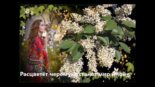 Белая черёмуха Валентина Сазонова Нагина смотреть онлайн