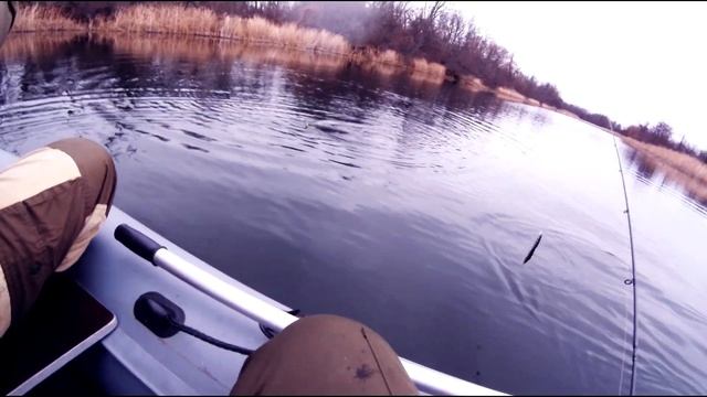 Осенняя рыбалка на щуку. Рыбалка на реке Битюг. Рыба есть!!! смотреть онлайн