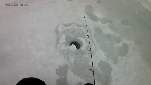 FIRST TIP-UP FISH OF THE 2020-2021 ICE FISHING SEASON смотреть онлайн