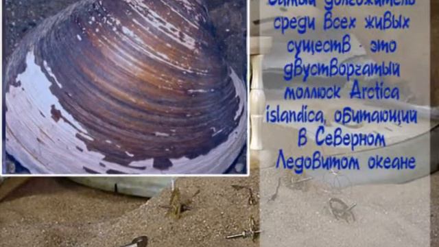 Интересное О долгожителях 09 09 20134 01) смотреть онлайн