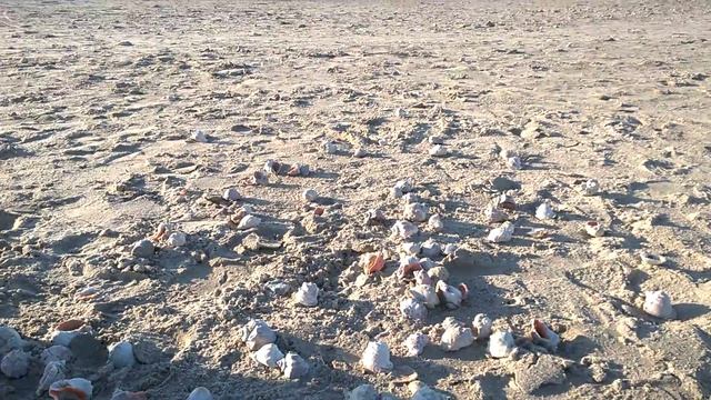 Анапа,море,ракушки.декабрь 2016 смотреть онлайн