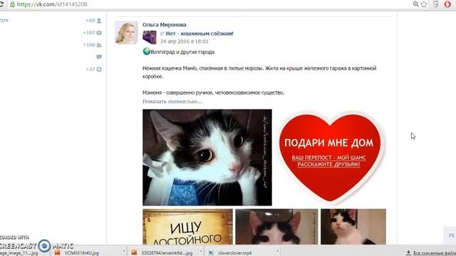 Розыгрыш коврика для йоги в магазине yogastuff.ru смотреть онлайн