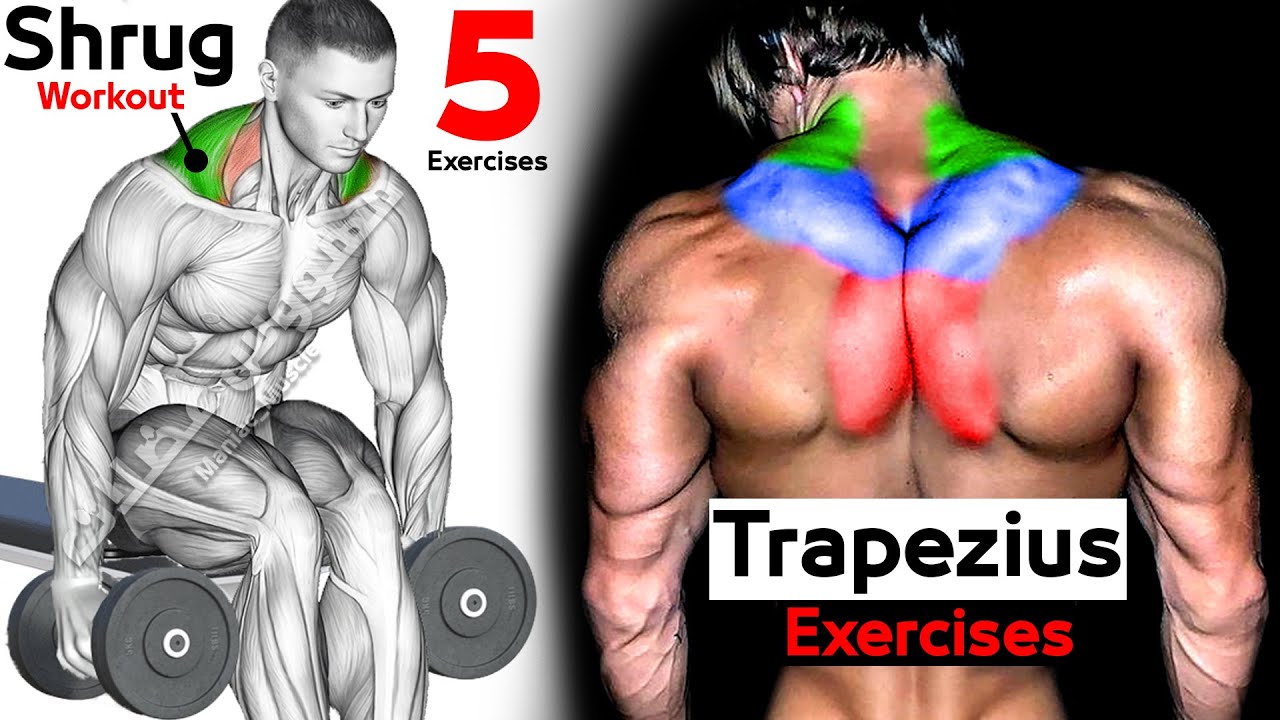 Как сделать трапецию быстрой (5 эффективных упражнений) смотреть онлайн