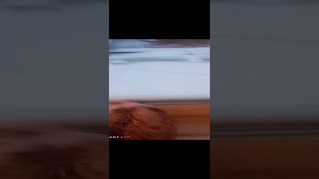 Жизнь Хренобуса Часть 1 смотреть онлайн