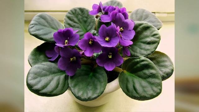 Эфир на 17.02.21.mp4 смотреть онлайн