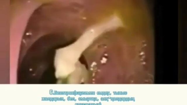 23 марта 2022 г. смотреть онлайн