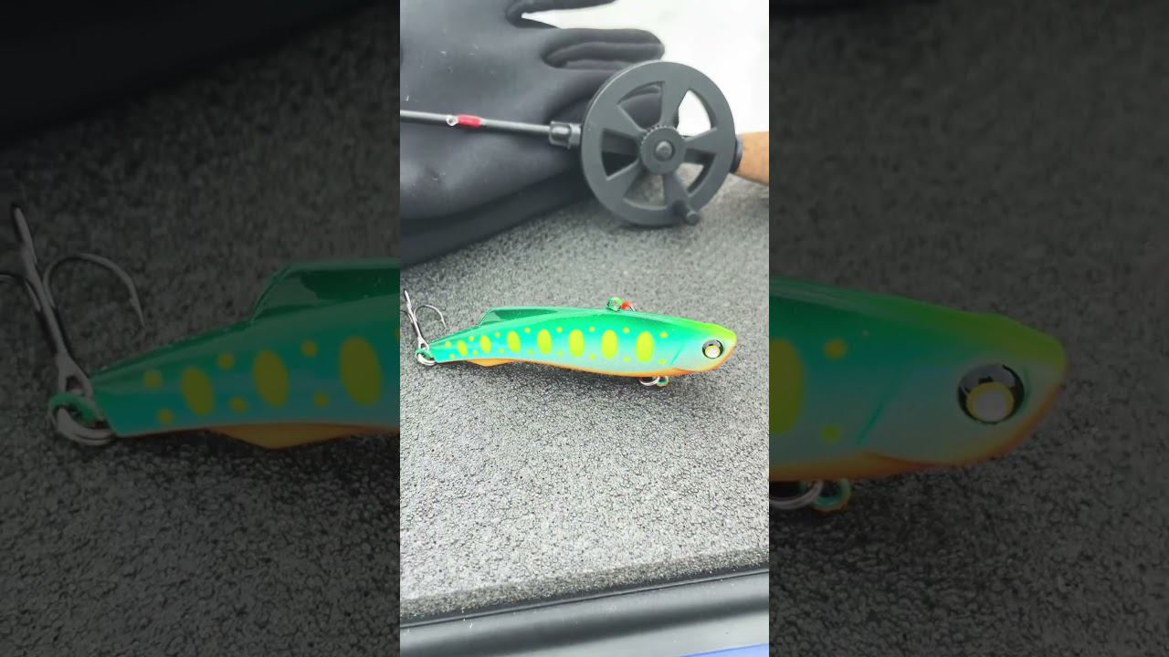 Судак это кушает #рыбалкакстово #судак #первыйлёд #зимняяудочка смотреть онлайн