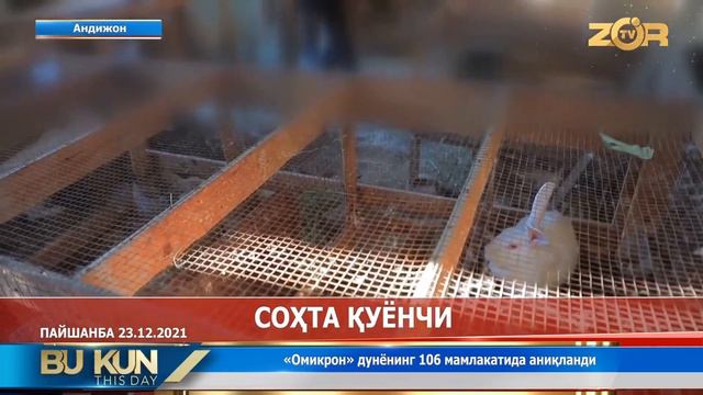 Soxta quyonchi смотреть онлайн