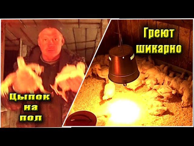 Обогреватели из ведра установил в птичник Греют шикарно