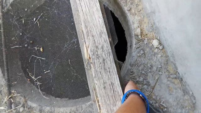 А сколько было обещаний про развитие инфраструктуры в поселке Волна... смотреть онлайн