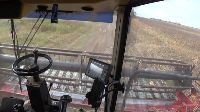 Уборка семечек. Палессе gs12 и gs812. сезон 2021 смотреть онлайн