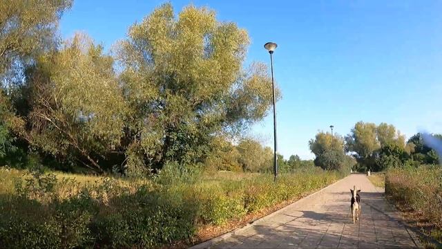 ТЭГ "7 грехов вышивальщицы" смотреть онлайн