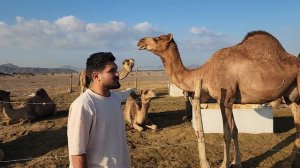 Афганец читает коран самый лучший голос