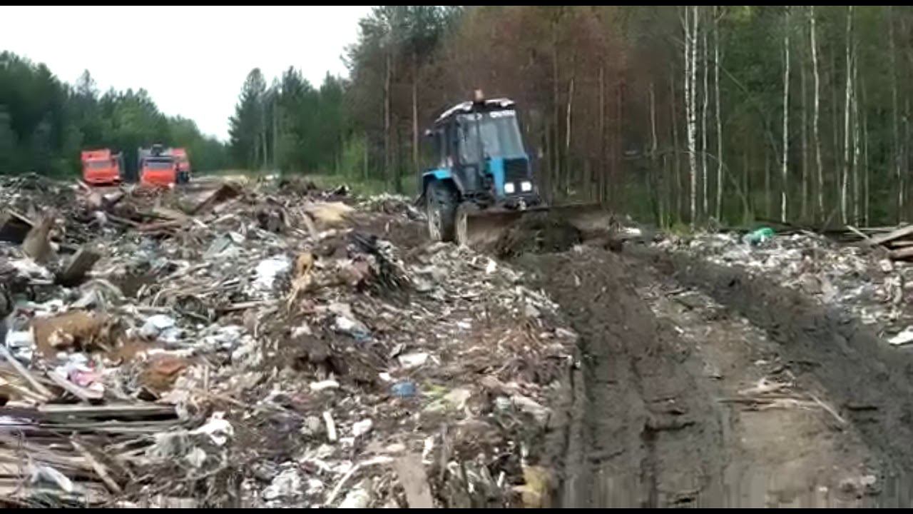 Усть Кулом видео 15 07 19 смотреть онлайн