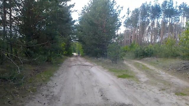ПОКАТУШКИ на МОПЕДЕ по ЛЕСУ/КАТАЮСЬ С ДРУГОМ / ПОД КЛАССНУЮ МУЗЫКУ смотреть онлайн