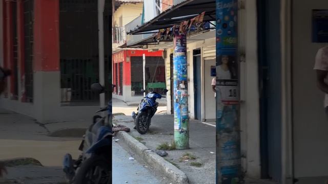 La Serpiente Pitón Gigante ?? ? #humor смотреть онлайн