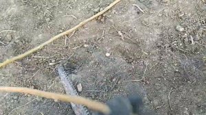 Как сделать лук и стрелы своими руками бесплатно?