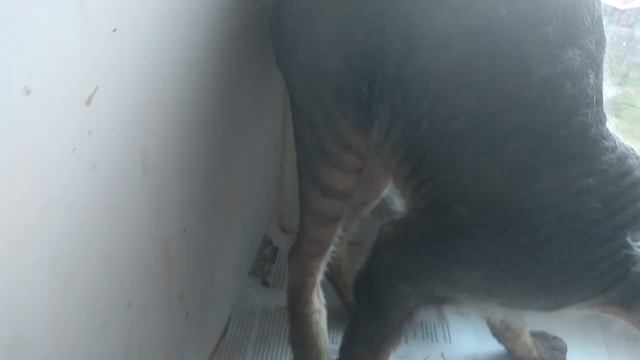 В ПРИЮТЕ ХОРОШО, а дома лучше,  или -  спешите делать добро!  Отзывчивым людям о 